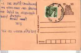 India Postal Stationery Tiger 15 Bhilwara Cds - Postcards