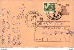 India Postal Stationery Tiger 15 Nasirabad Cds - Postcards