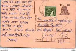 India Postal Stationery Tiger 15 - Postcards