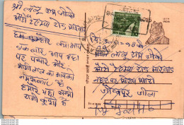 India Postal Stationery Tiger 15 Jaipur Cds - Postcards