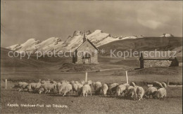 11728830 Melchsee-Frutt Kapelle Mit Titliskette Schafherde Melchsee-Frutt - Sonstige & Ohne Zuordnung