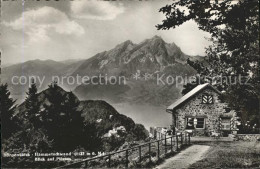 11728800 Buergenstock Hammetschwand Mit Pilatus Buergenstock - Andere & Zonder Classificatie