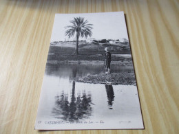 CPA Carthage (Tunisie).Les Bords Du Lac. - Tunisia