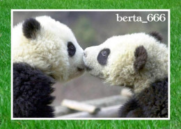 Animals * Giant Panda Bears - Orsi