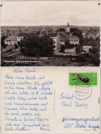 Elsterwerda Wikow Blick Vom Alten Wasserturm Foto Ansichtskarte 1962 - Elsterwerda