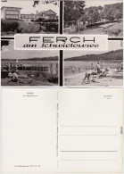 Foto Ansichtskarte  Ferch Schwielowsee Strand Und Umland 1971 - Ferch