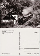 Oberlößnitz Radebeul Traditionsbahn Radeburg, Malerwinkel Im Lößnitzgrund 1985 - Radebeul