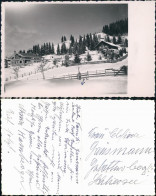 Foto  Bauden Im Winter Mit Bäumen 1953 Privatfoto - Te Identificeren