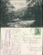 Postcard Misdroy Międzyzdroje Partie Am Jordansee 1908  - Pommern