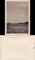 Illmensee Am Illmensee 1954 Privatfoto Ansichtskarte - Sonstige & Ohne Zuordnung