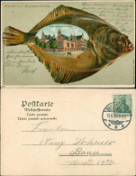 Wilhelmshaven Fisch-Litho: Kaiserl. Deckoffizier Schule 1910 Prägekarte - Wilhelmshaven