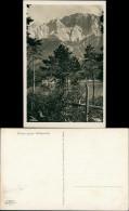 Garmisch-Partenkirchen Eibsee Gegen Riffelwände, Bergkette, Berge, See 1930 - Garmisch-Partenkirchen