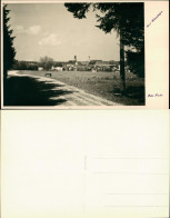 Ansichtskarte Bad Wörishofen Blick Vom Waldweg Auf Die Stadt 1927 - Bad Woerishofen