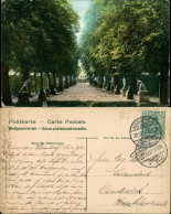 Ansichtskarte Herrenhausen-Hannover Sommergarten In Herrenhausen 1907 - Hannover