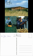 Ansichtskarte Bollewick Die Scheune, Uns Dörpsmäd 2000 - Otros & Sin Clasificación