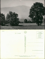 Postcard Ślęża Ślęża Landschaftspartie 1966 - Schlesien