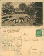 Ansichtskarte Bad Harzburg Restaurant Sennhütte - Kühe 1926 - Bad Harzburg