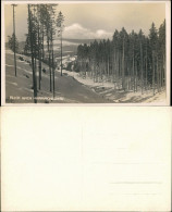 Foto Harrachsdorf Harrachov Winterpartie 1931 Privatfoto - Tschechische Republik