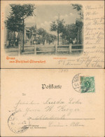 Ansichtskarte Albersdorf (Holstein) Bahnhofstraße 1899 - Autres & Non Classés