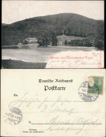 Bad Lauterberg Im Harz Wiesenbeker Teich Gruss-AK Wiesenbeeker Teich 1900 - Bad Lauterberg