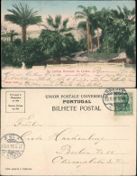 Postcard Lissabon No Jardin Botanico Coloriert 1906 - Otros & Sin Clasificación