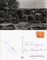 Postkaart Ermelo (Gelderland) Ermelo Staverense Hei, Landschaft 1960 - Sonstige & Ohne Zuordnung