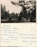 Postcard Polen Polska Polen Polska Parkanlage 1961 - Polen