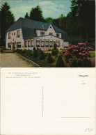 Ansichtskarte Wingst Landgasthaus Im Naturschufzgebiet Haus Quellental 1960 - Otros & Sin Clasificación