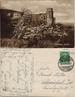 Ansichtskarte Heidelberg Baum Blüte Am Heidelberger Schloss 1927 - Heidelberg