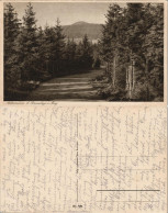 Ansichtskarte Braunlage Achtermann, Harz Panorama-Ansicht 1925 - Braunlage