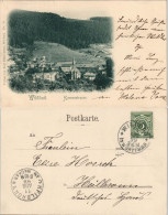 Ansichtskarte Bad Wildbad Kernerstrasse 1899 - Sonstige & Ohne Zuordnung