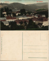 Ansichtskarte Bad Gottleuba-Berggießhübel Stadtpartie Coloriert 1907 - Bad Gottleuba-Berggiesshübel