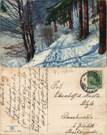 Winter-Ansichtskarten (Schnee/Eis) / Stimmungsbild Photochromie 1915 - Non Classificati