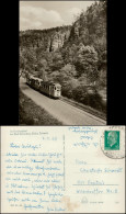 Kirnitzschtal-Sebnitz Im Kirnitzschtal Bei Bad Schandau DDR Postkarte 1969 - Kirnitzschtal