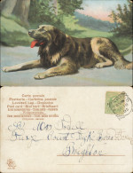 Ansichtskarte  Tiere - Hund - Künstlerkarte 1905 - Dogs