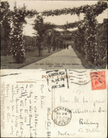 Postcard Kew-London ROSE PERGOLA NEAR THE ROCK GARDEN KEW GARDENS 1910 - Other & Unclassified