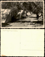 Foto KRETA (Allgemein) Zeltlager Creta 1940 Privatfoto - Grecia