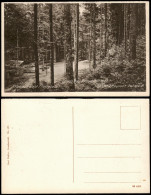 Ansichtskarte Freudenstadt Festplatz - Palmenwald 1928 - Freudenstadt