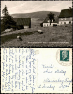 Oberwiesenthal Umland-Blick Von Unterwiesenthal Zum Fichtelberg 1962 - Oberwiesenthal