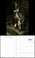 Ansichtskarte Triberg Im Schwarzwald Kaskaden-Wasserfall, Colorfotokarte 1963 - Triberg