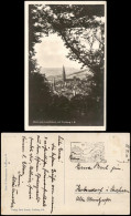 Ansichtskarte Freiburg Im Breisgau Blick Vom Lorettoberg 1929 - Freiburg I. Br.