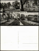 Ansichtskarte Uetersen Im Rosarium - 4 Bild 1964 - Autres & Non Classés