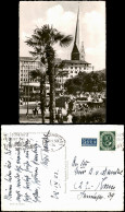 Ansichtskarte Hamburg Jungfernstieg, Belebt - Palmen - Fotokarte 1953 - Altri & Non Classificati