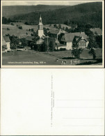 Ansichtskarte Schellerhau-Altenberg (Erzgebirge) Stadtpartie - Kühe 1934 - Schellerhau