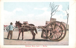 MALTA - MALTESE MULE CART - Malta