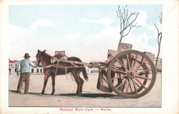 MALTA - MALTESE MULE CART - Malte