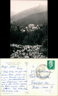 Bärenfels (Erzgebirge)-Altenberg (Erzgebirge) Umland  Vom Spitzberg 1964 - Altenberg