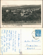 Berggießhübel-Bad Gottleuba-Berggießhübel Stadtteilansicht Panorama   1954/1953 - Bad Gottleuba-Berggiesshübel