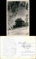 Bärenfels (Erzgebirge)-Altenberg  Umland-Ansicht Wohnhaus   Postkarte 1956 - Altenberg