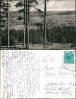 Altenfeld (Thüringen) Panorama-Ansicht Thüringer Wald Blick DDR Postkarte 1960 - Autres & Non Classés